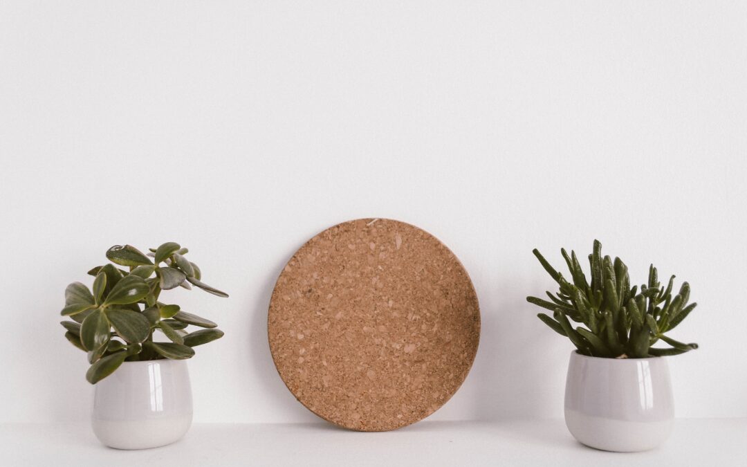 5 plantes insecticides plus fortes que les produits chimiques