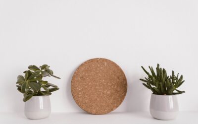 5 plantes insecticides plus fortes que les produits chimiques