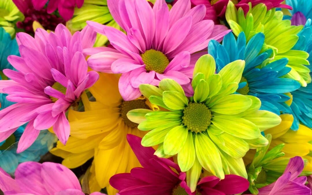 Bien choisir sa livraison de fleurs