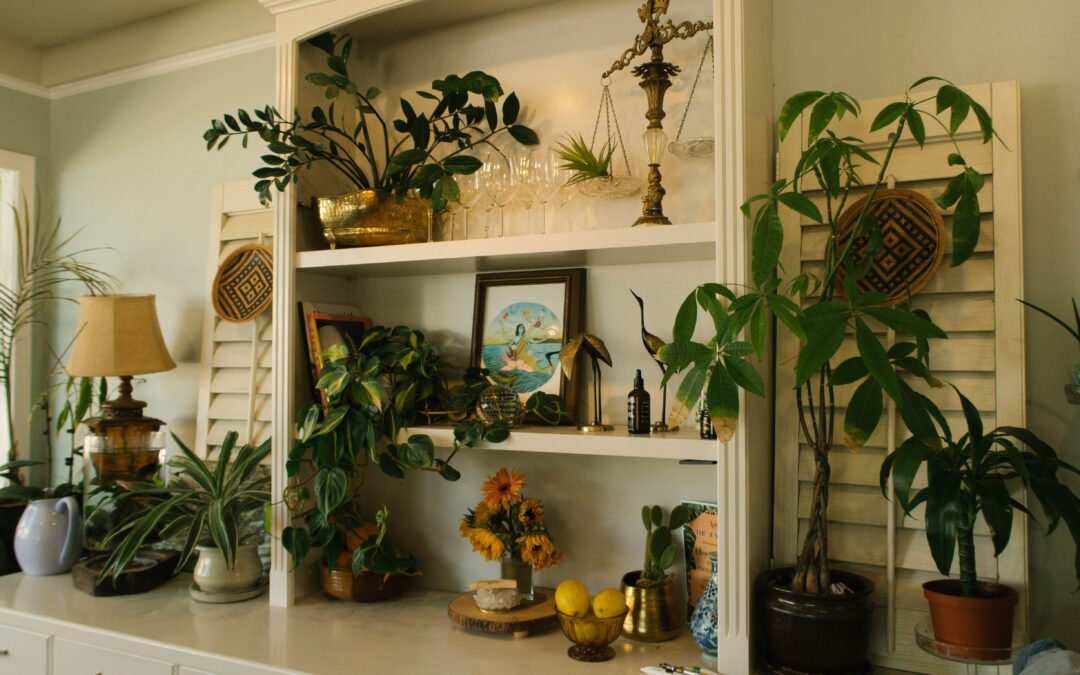 Quelles fleurs choisir pour son appartement ?