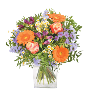 Rhapsodie : rose, germinis et fleurs variées multicolores