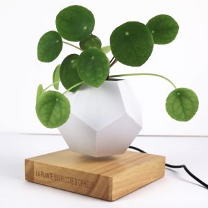 Pot flottant - Cadeaux Interflora - Livraison par Chronopost - Interflora