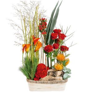 Composition contemporaine de fleurs piquées en hauteur