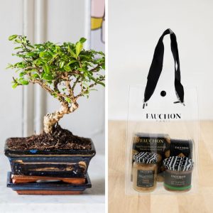 Cadeau Fête des Pères : Bonsaï et son coffret apéritif Fauchon - Livraison Interflora en 24H