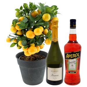 Calamondin et son Spritz - Coffret Cadeau Interflora