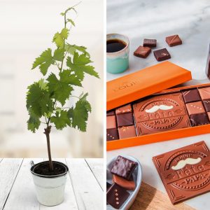 Cadeau Fête des Pères Interflora : Pied de vigne et ses chocolats Bonne fête Papa