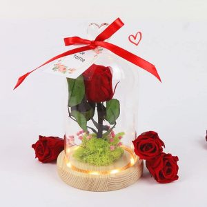 Rose sous cloche lumineuse - Collection Cadeaux - Interflora