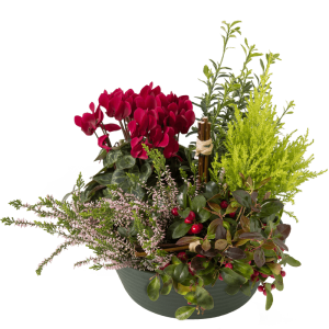 Coupe de plantes vertes et fleuries - Toussaint