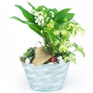 Composition de muguet Brin de Jardin