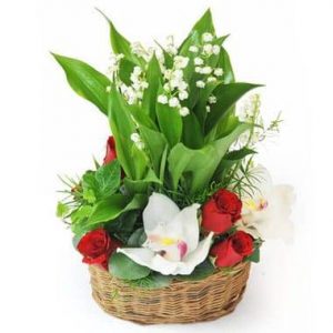Composition de Muguet Prestige