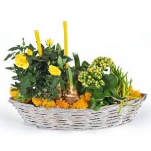 Composition de plantes Etamine la fleuriste