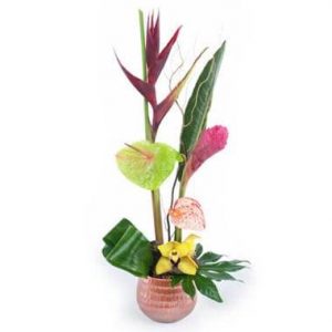 Composition Exotique Aumaona