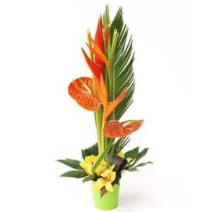 Composition exotique Papaye