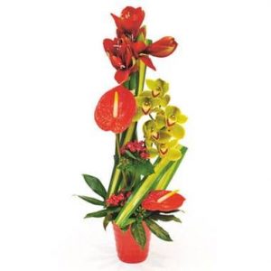 Composition Feu d'Artifice