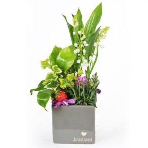 Composition Muguet Plaisir