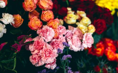 Envoyer des fleurs en 2025